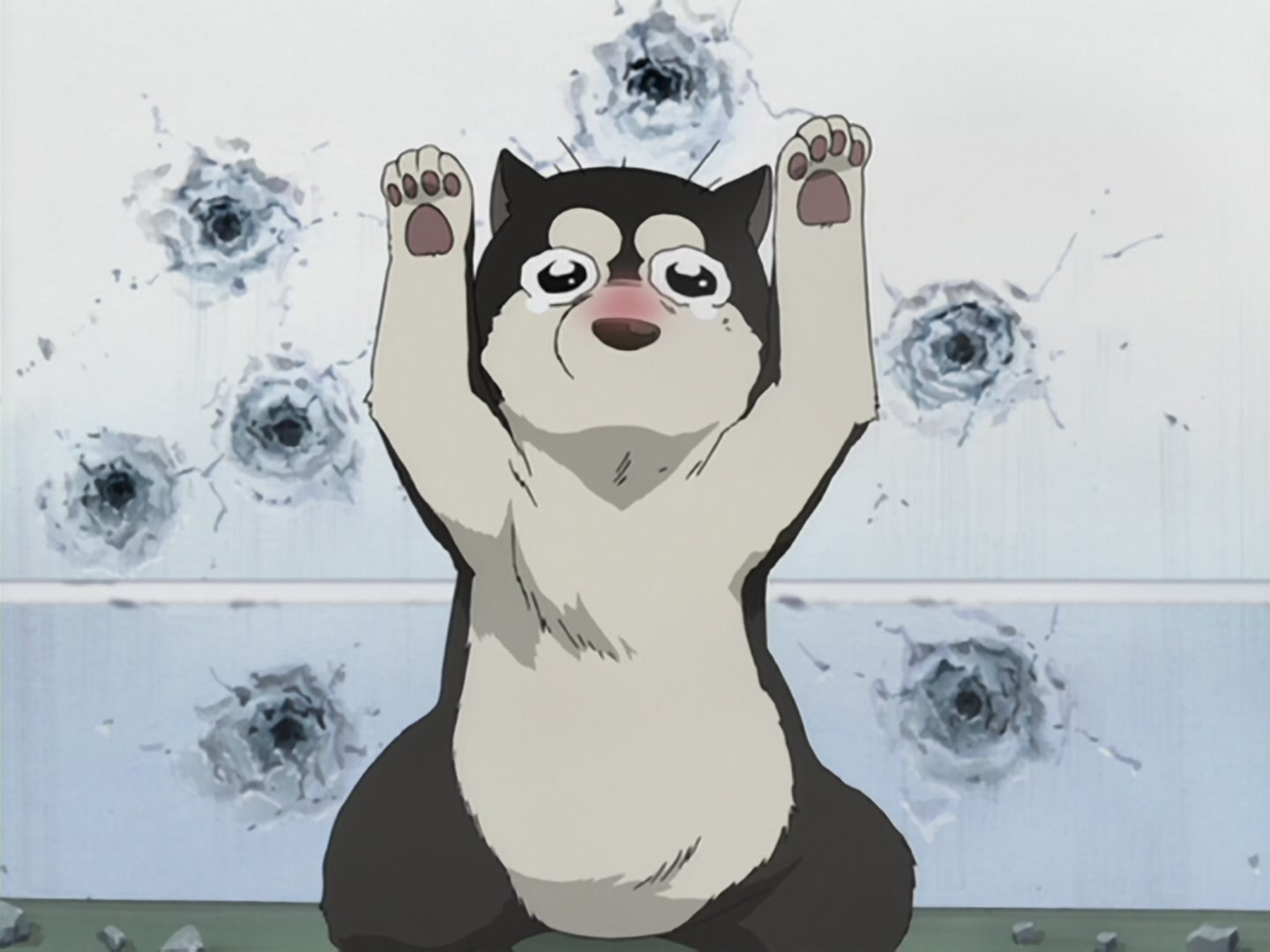 鋼之鍊金術師 (第13集文字版) 焰與鋼