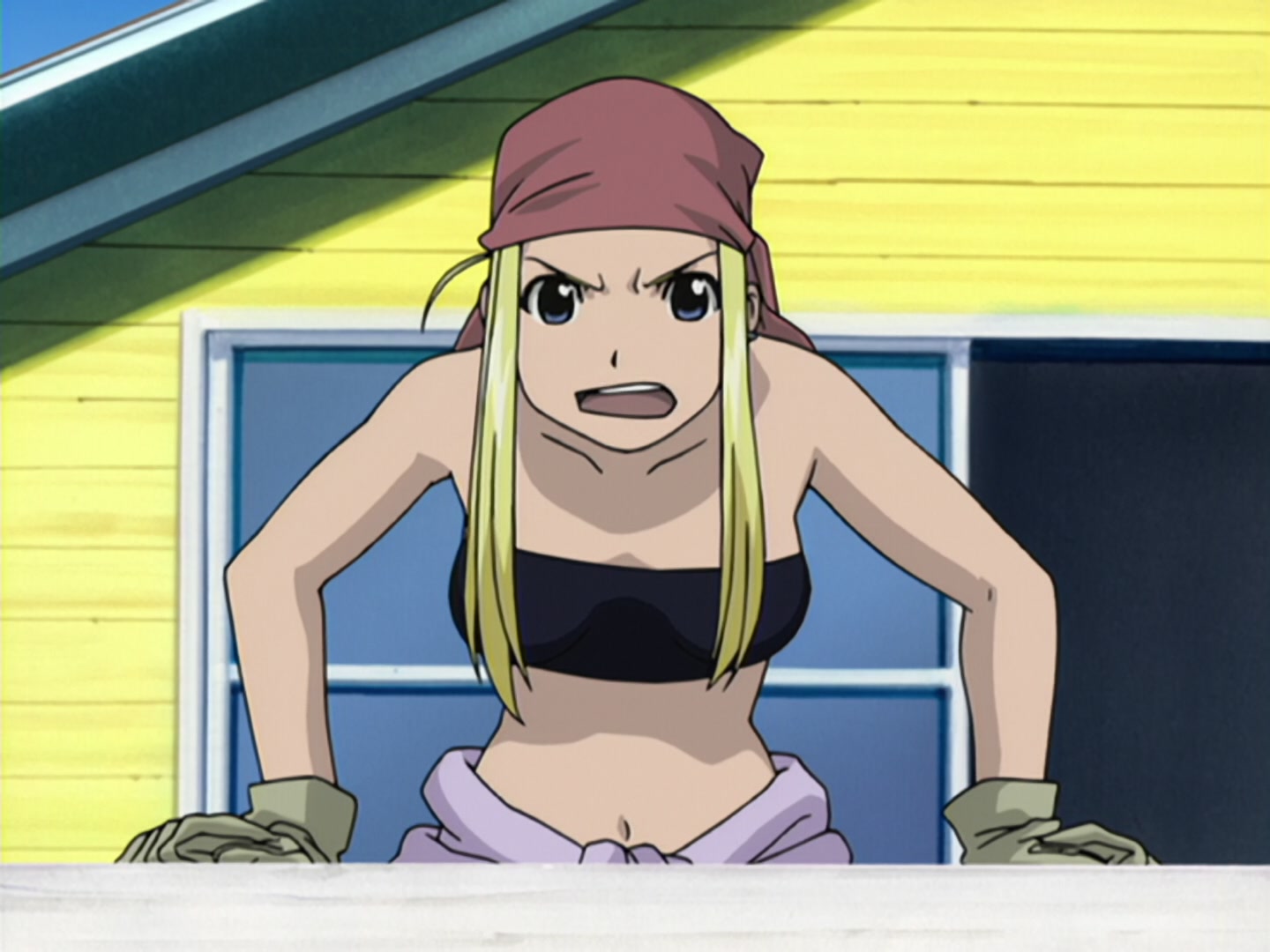 鋼之鍊金術師 (第17集文字版) 有家人等待的家