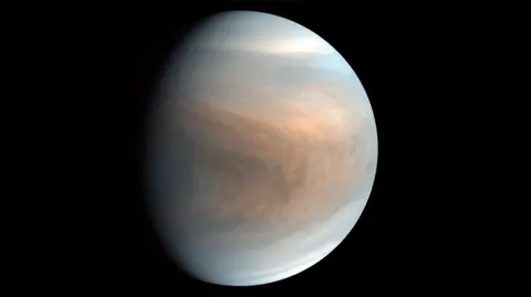 【深度認識】金星