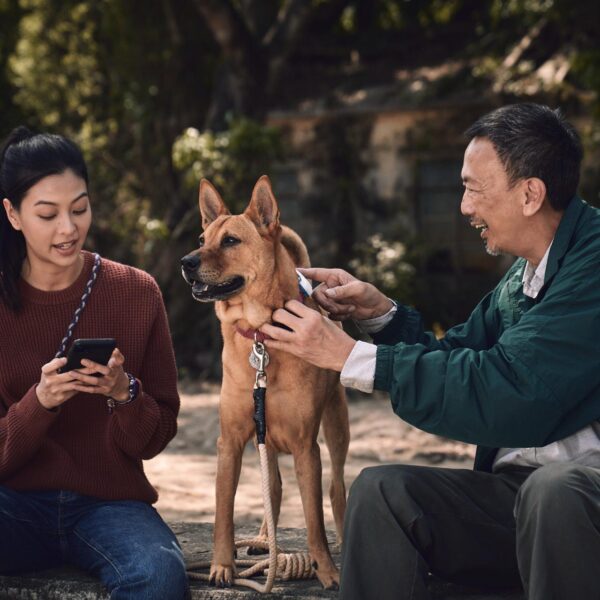 《得寵先生》影評：港式的隱閉中年，加插流...