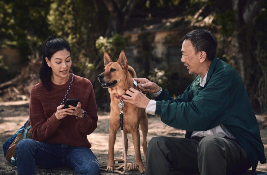 《得寵先生》影評：港式的隱閉中年，加插流浪狗主題的溫情片 (評分：72/100)