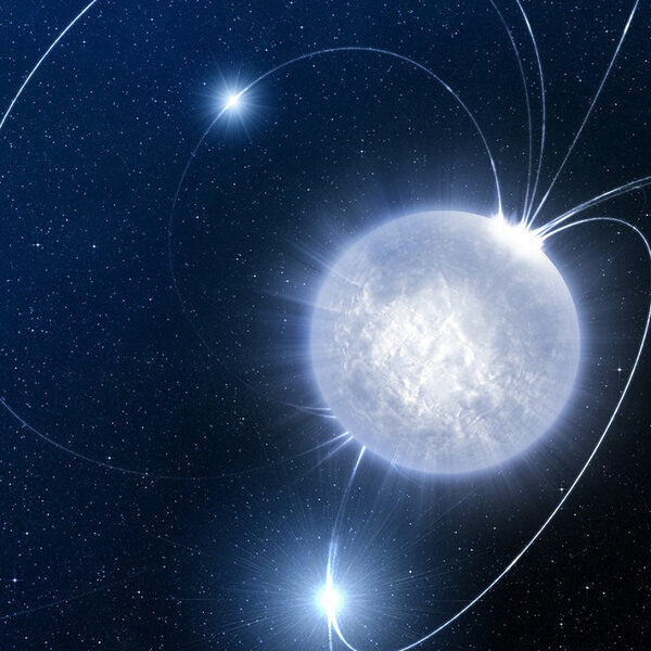 【深度認識】夸克星