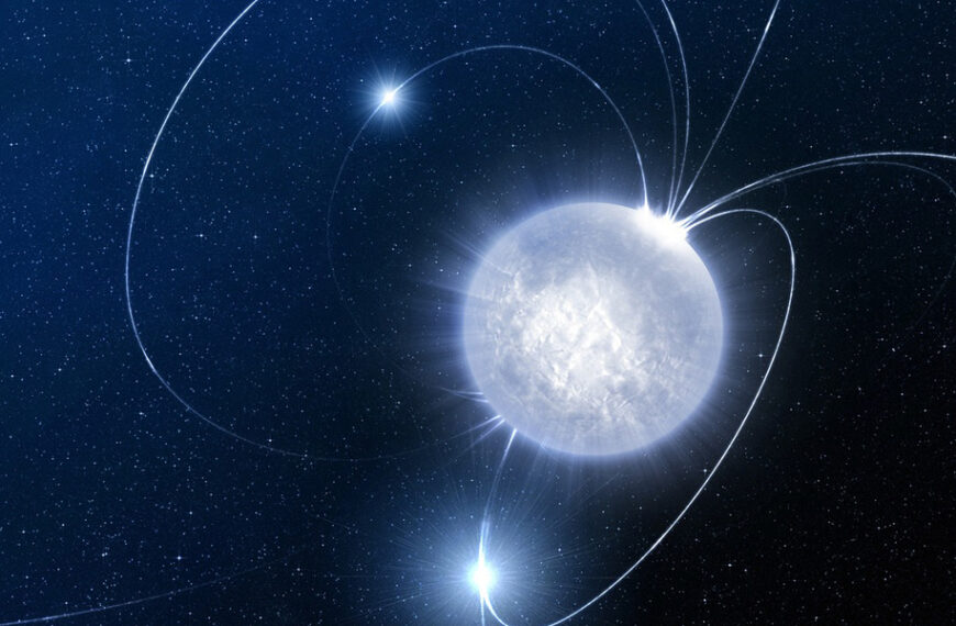 【深度認識】夸克星