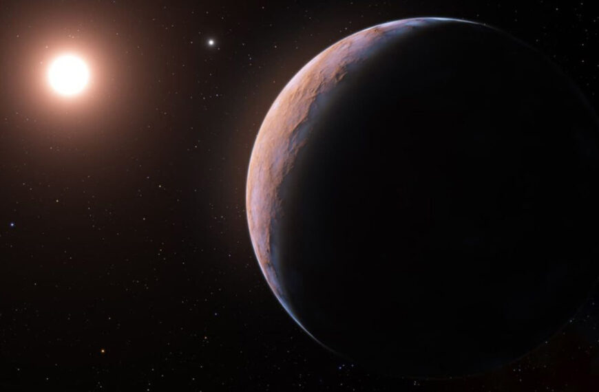 認識Ammonite：太陽系起源的活化石