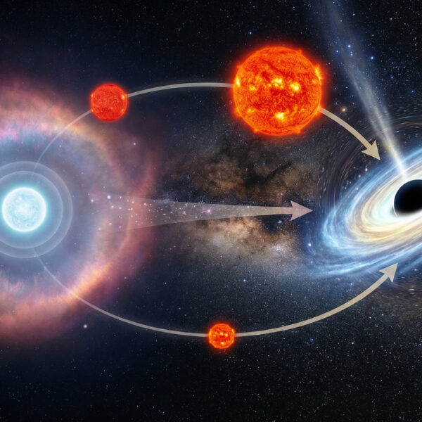 【恆星1】為何有些變成白矮星，有些卻成了...